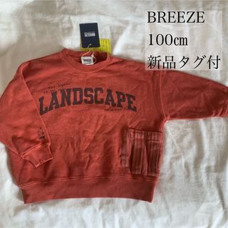 ブリーズ(BREEZE)の《明日発送までにご購入の方にむけ値下げ》BREEZE 薄手のトレーナー(Tシャツ/カットソー)