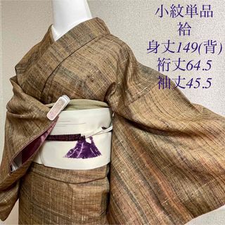 着物(レディース)（ブラウン/茶色系）の通販 400点以上（レディース