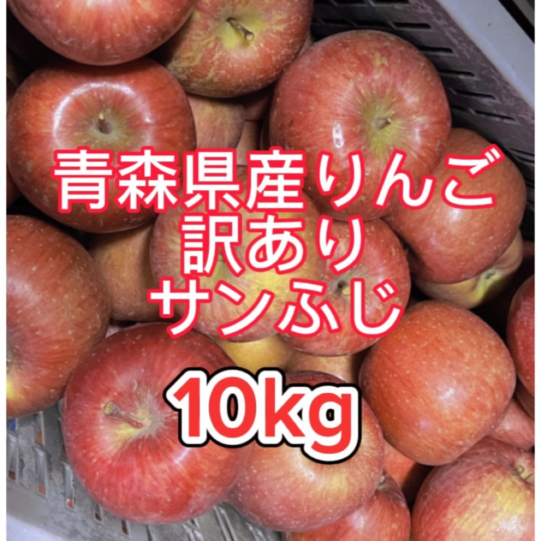 10kgの通販　家庭用　産地直送】青森県産りんご　by