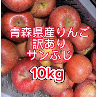 【産地直送】青森県産りんご  家庭用  10kg(フルーツ)