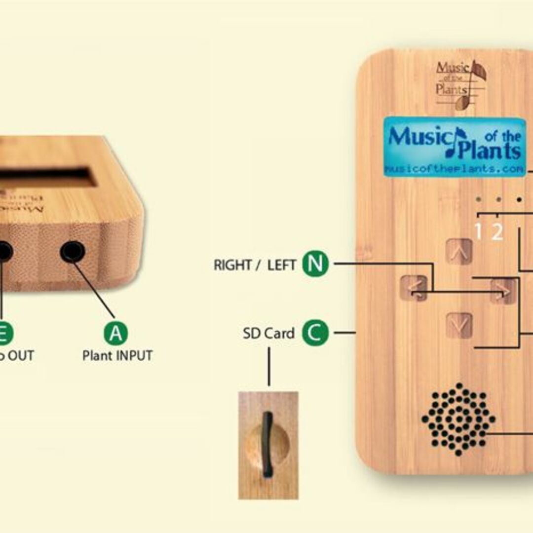 バンブー・Ｍ 楽器のDTM/DAW(その他)の商品写真