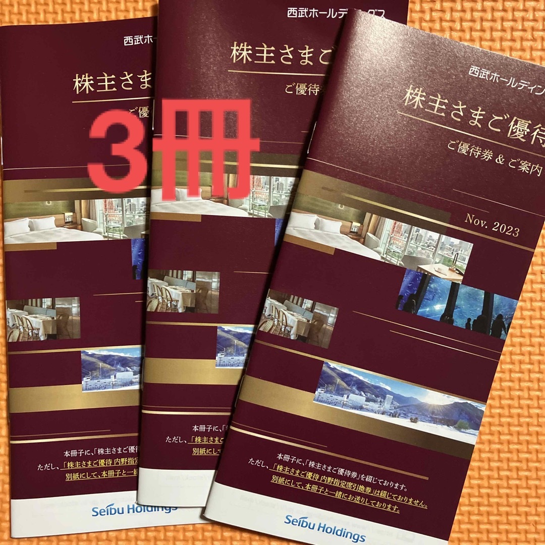 西武株主優待1000株以上　3冊遊園地/テーマパーク