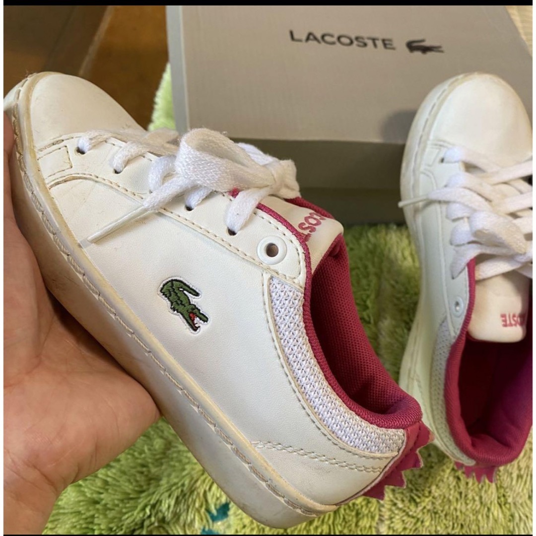 LACOSTE(ラコステ)のラコステ スニーカー 17cm キッズ/ベビー/マタニティのキッズ靴/シューズ(15cm~)(スニーカー)の商品写真