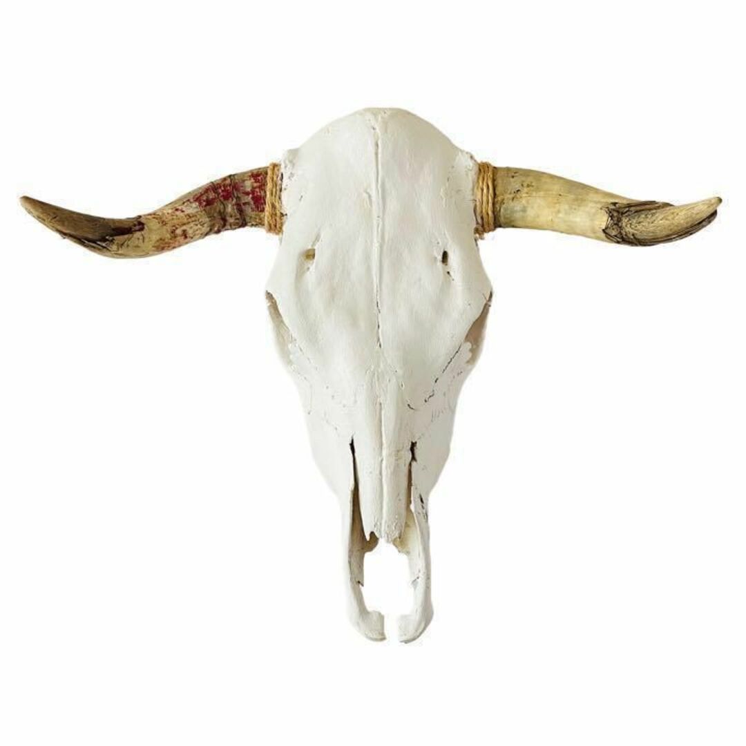 アメリカ状態バッファロースカル 牛頭骨 ショートホーン カウスカル ナバホ 壁掛け オブジェ