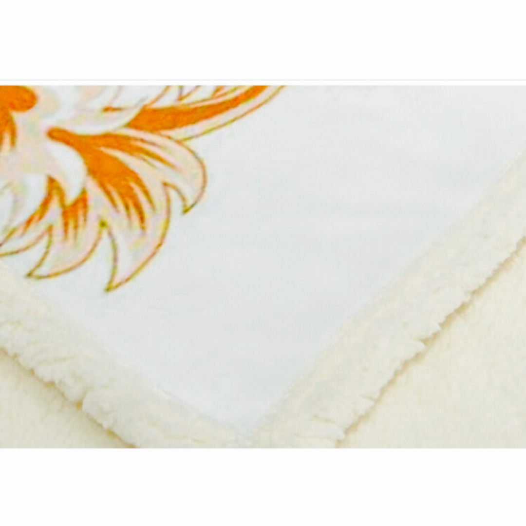 blanket インテリア/住まい/日用品の寝具(毛布)の商品写真