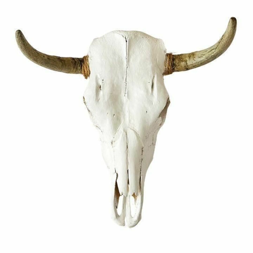 バッファロースカル 牛頭骨 ショートホーン カウスカル ナバホ 壁掛け オブジェアメリカ状態