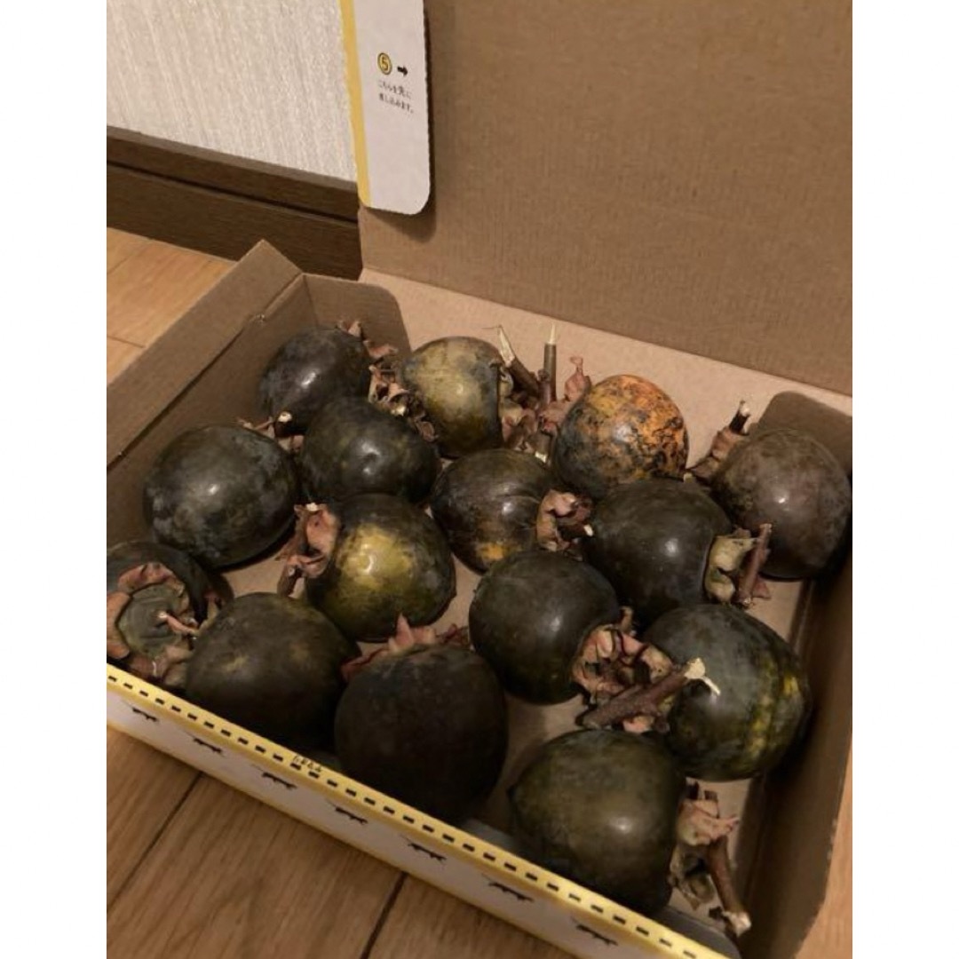 【岩手の黒柿】縁起物！珍しい果物です！黒柿15個くらい 食品/飲料/酒の食品(フルーツ)の商品写真