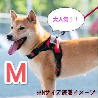 再入荷✨【Mサイズ】ハーネス 犬用品 レッド 赤 犬服 ペット服(リード/首輪)