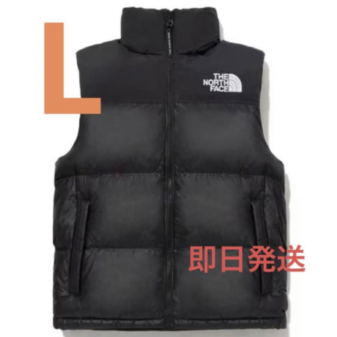 新品 THE NORTH FACE NUPTSE ON BALL VEST L