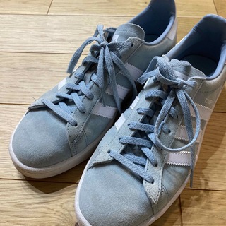 キャンパス(CAMPUS（adidas）)のadidas campus 24.5cm(スニーカー)