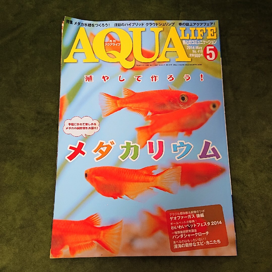 アクアライフ2014/05 - 趣味/スポーツ/実用 アクアライフ2014/05 - 趣味/スポーツ/実用