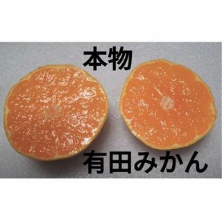 アリダミカン(有田みかん)の年末年始も発送 2Kg 有田みかん 自消費用限定品 和歌山特産品 日本一(フルーツ)