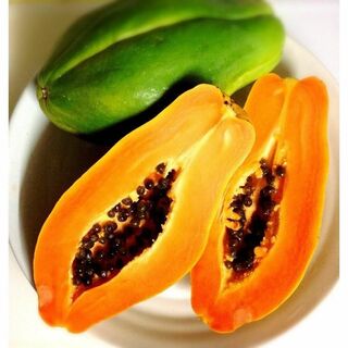 沖縄本島産　発芽率良好です。　台湾系フルーツパパイヤの種子　20粒(その他)