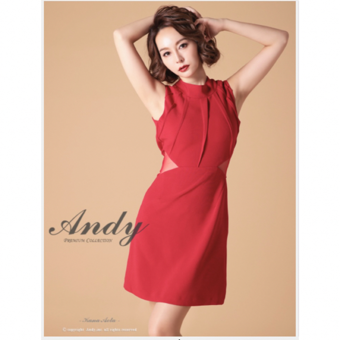 Andy(アンディ)のAndy    Aラインミニドレス レディースのフォーマル/ドレス(ミニドレス)の商品写真