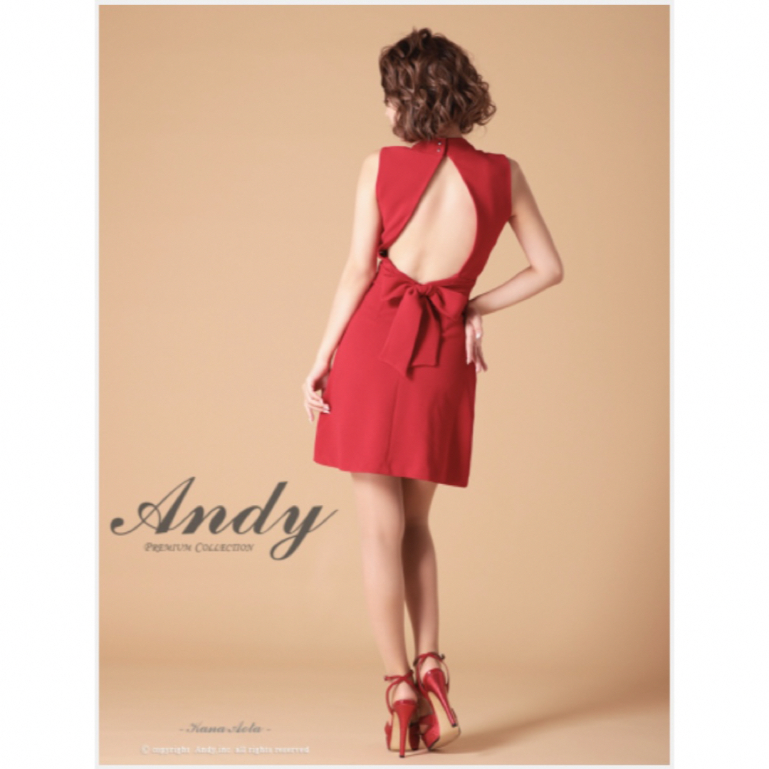 an andy Aライン ドレスミニドレス Andy Aラインミニドレス