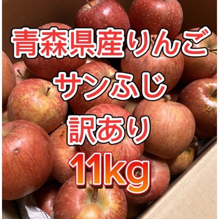 【産地直送】青森県産りんご  家庭用  11kg(フルーツ)