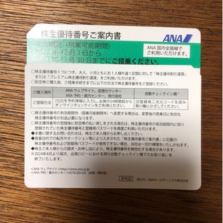 エーエヌエー(ゼンニッポンクウユ)(ANA(全日本空輸))の【即日発送】ANA 株主優待　1枚(その他)