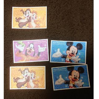 大人2枚 使用済み ディズニーランド チケット ミッキー誕生日(遊園地/テーマパーク)
