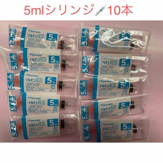 テルモ(Terumo)のテルモ　シリンジ　5ml 10本セット　本日限定値下げ‼️(その他)