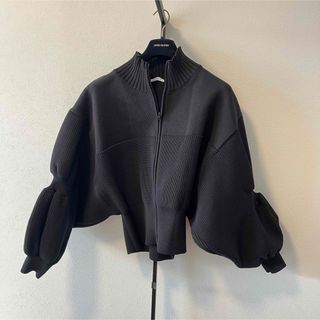 ダブルスタンダードクロージング(DOUBLE STANDARD CLOTHING)のESSENTIAL ダブスタ ポイントリブジップアップニット(ニット/セーター)