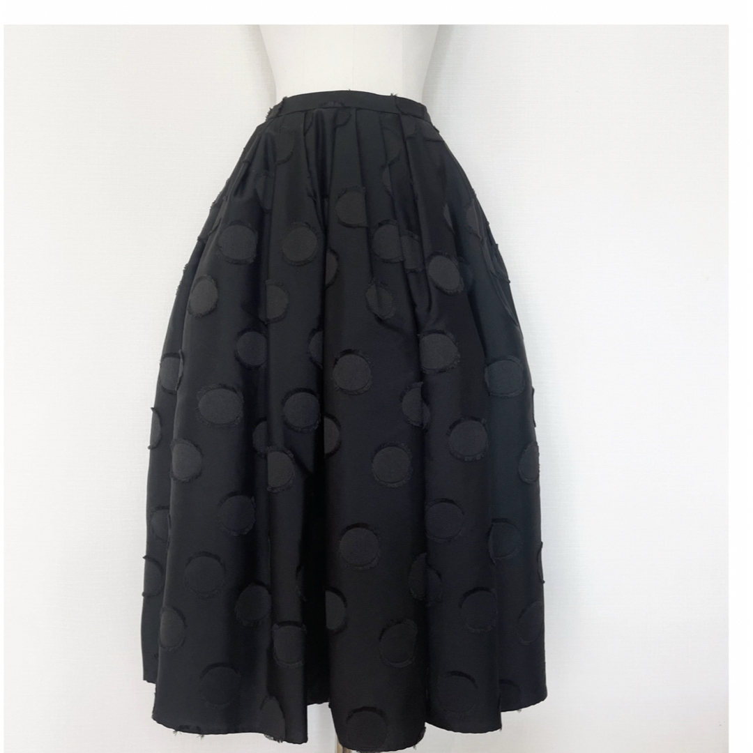 Drawer(ドゥロワー)のシーニュ　Cygne  ドット柄スカート　Roger レディースのスカート(ロングスカート)の商品写真