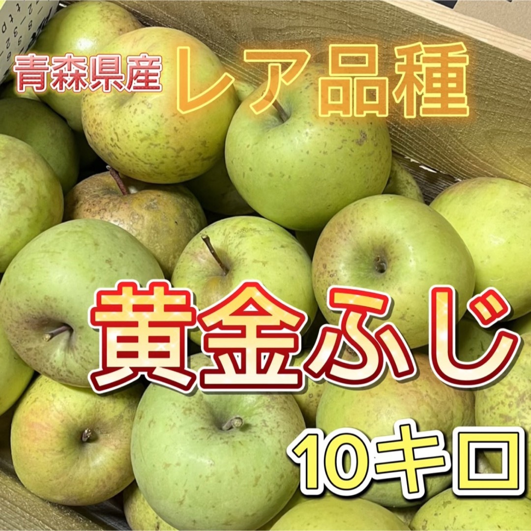 青森県産りんご黄金フジ家庭用10キロ