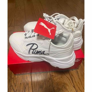 プーマ(PUMA)のPUMA  スニーカーカシーアSL(スニーカー)