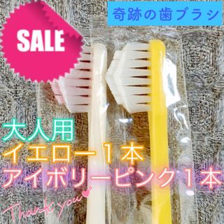 【新品】奇跡の歯ブラシ 大人用 イエロー & アイボリーピンク〔2本セット〕(歯ブラシ/デンタルフロス)