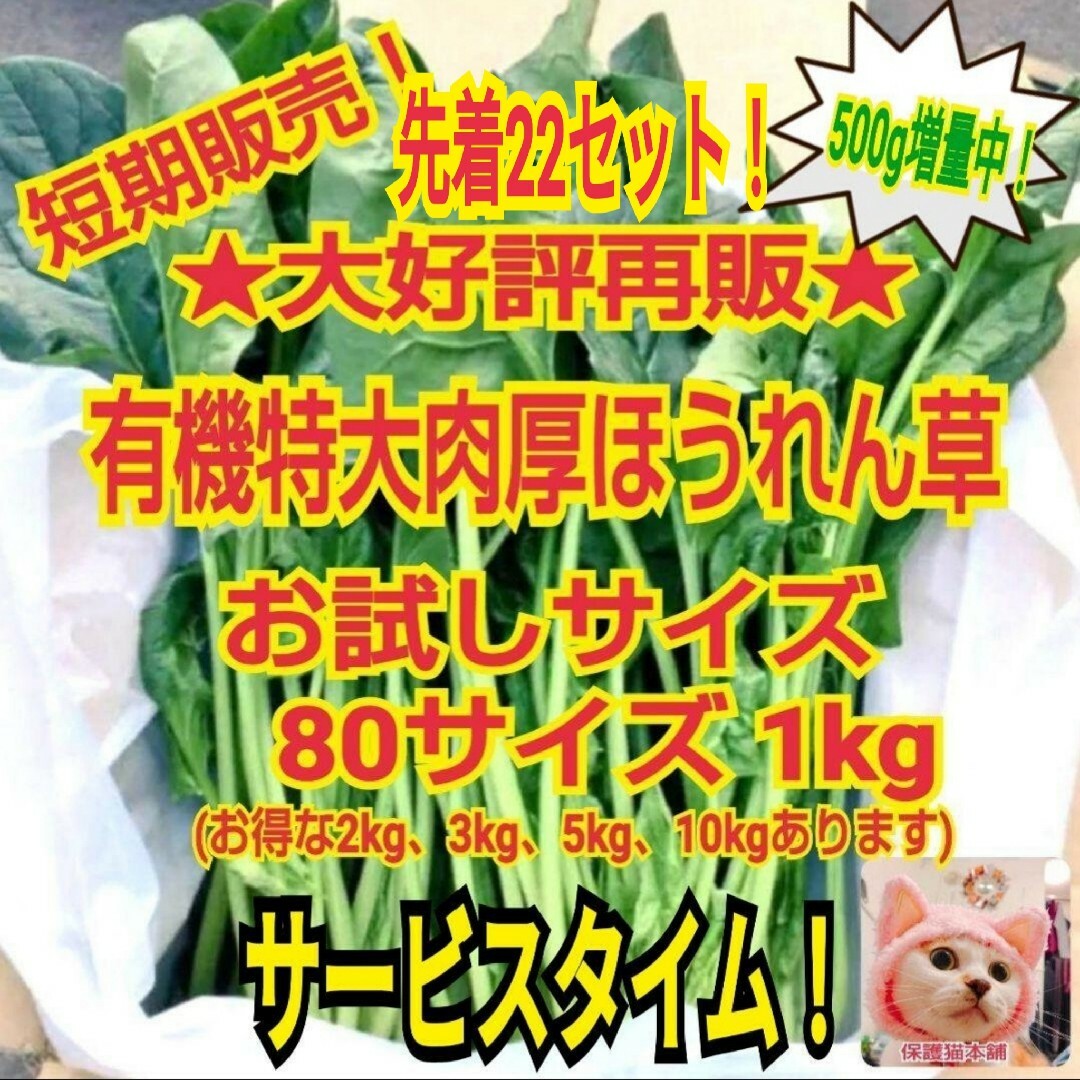 【先着22セット残㉑】短期再販大特価★鳥取産特大肉厚ほうれん草増量1.5Kg 食品/飲料/酒の食品(野菜)の商品写真