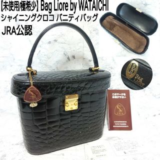 【未使用/極希少】Bag Liore JRA シャイニングクロコ バニティバッグ(ハンドバッグ)