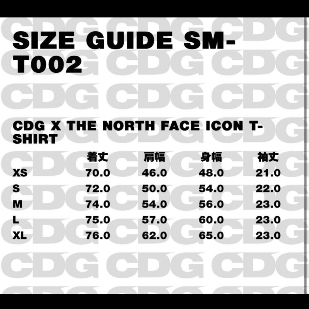 THE NORTH FACE - CDG × THE NORTH FACE ICON T-SHIRTの通販 by まさみ ...