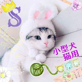 Sポンポン白ペット用うさみみニット帽♥ホワイトねこのかぶりもの猫犬用♥クリスマス(猫)