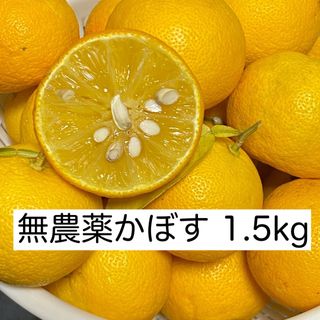 京都府産 無農薬かぼす 1.5kg 1500g(フルーツ)