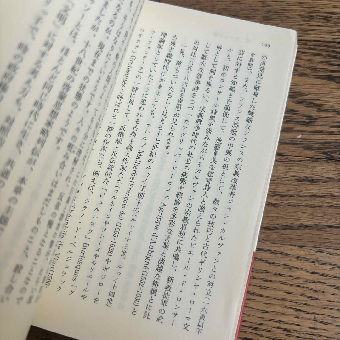 曲説フランス文学 エンタメ/ホビーの本(文学/小説)の商品写真