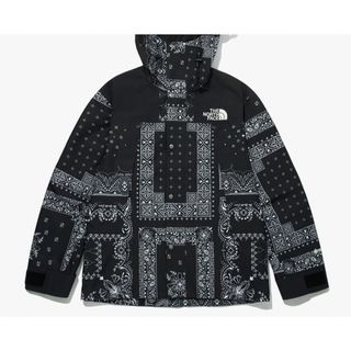 THE NORTH FACE⭐️韓国限定 マウンテンパーカー⭐️BLACK Lサイズ