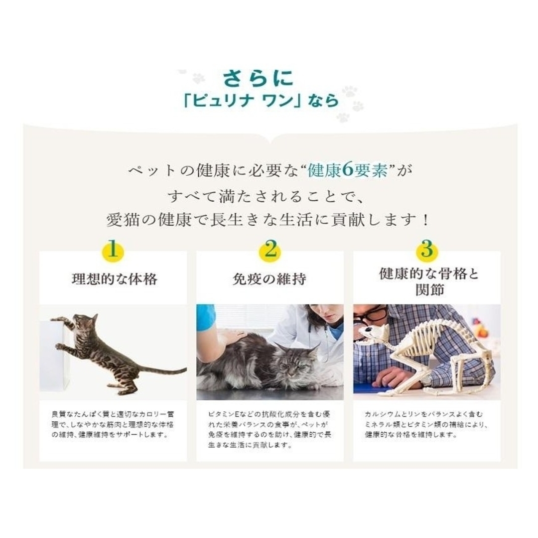 Nestle(ネスレ)のピュリナワンキャット パウチ 美味を求める成猫用  チキングレービー仕立て12個 その他のペット用品(猫)の商品写真