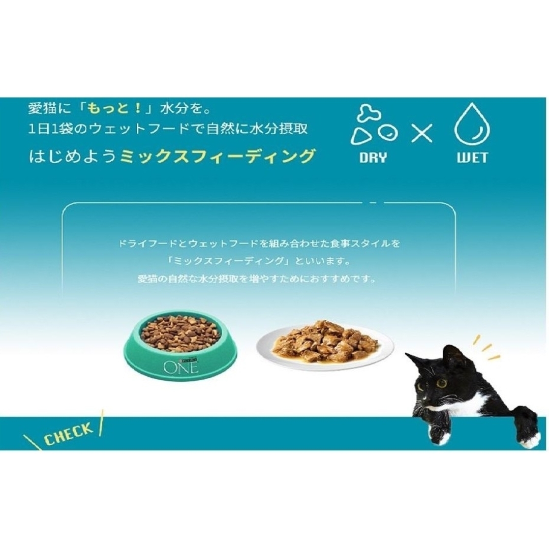 Nestle(ネスレ)のピュリナワンキャット パウチ 美味を求める成猫用  チキングレービー仕立て12個 その他のペット用品(猫)の商品写真