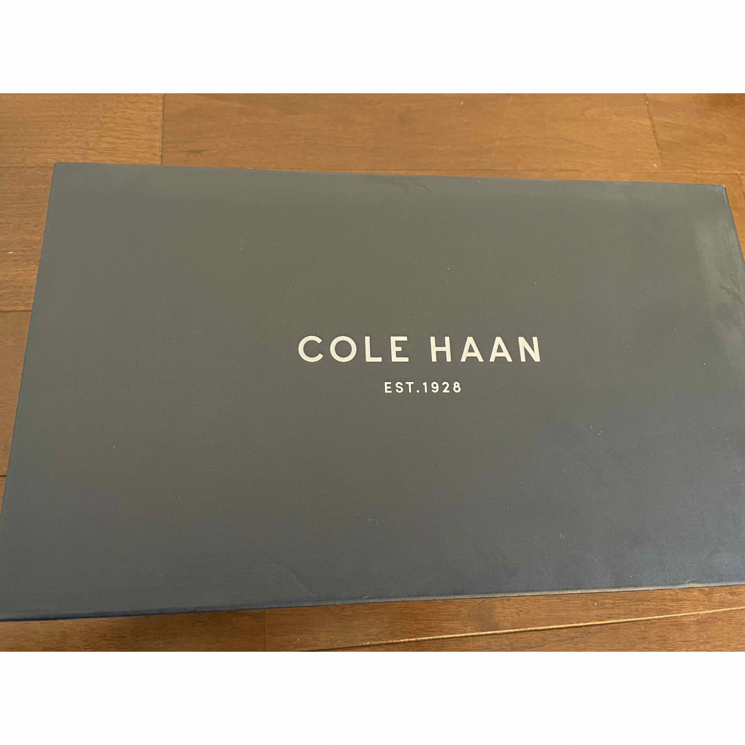 Cole Haan(コールハーン)のコールハーン　メンズ　ドライビングシューズ　スウェード　8.5(26.5cm) メンズの靴/シューズ(その他)の商品写真