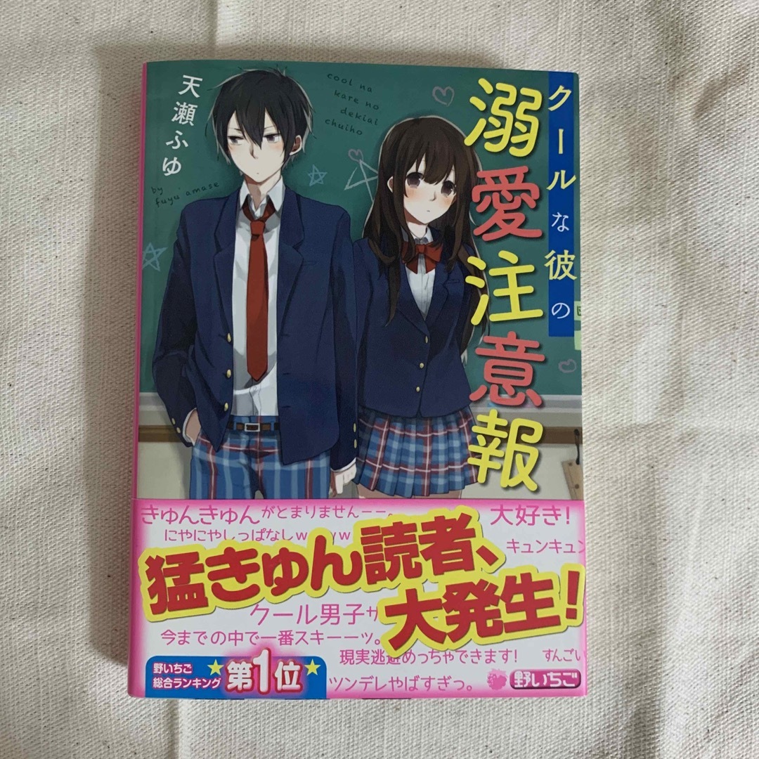 携帯小説　野いちご　ク－ルな彼の溺愛注意報 エンタメ/ホビーの本(その他)の商品写真