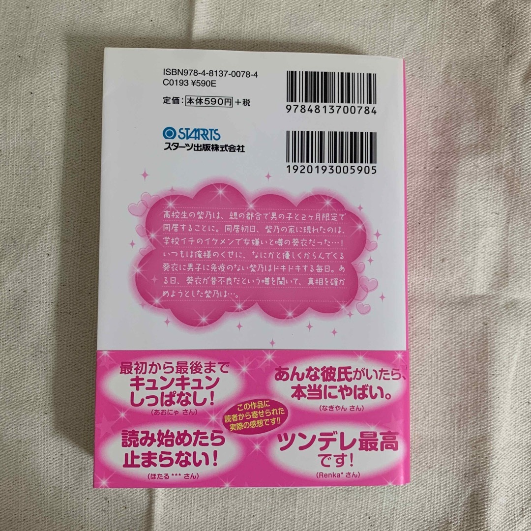 携帯小説　野いちご　ク－ルな彼の溺愛注意報 エンタメ/ホビーの本(その他)の商品写真