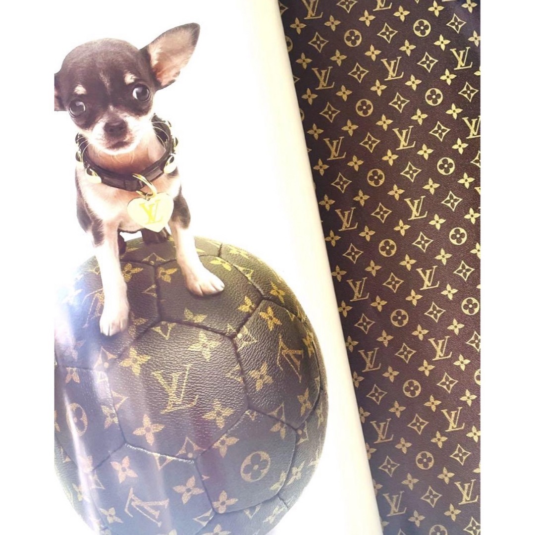 LOUIS VUITTON(ルイヴィトン)のLOUIS VUITTON カタログ　非売品 エンタメ/ホビーの雑誌(ファッション)の商品写真