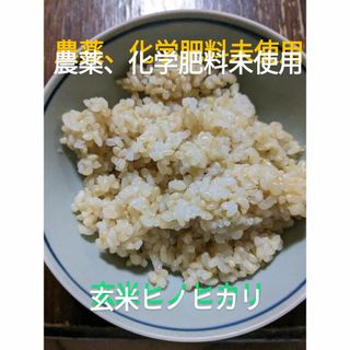 新米無農薬玄米ヒノヒカリ5kg(米/穀物)