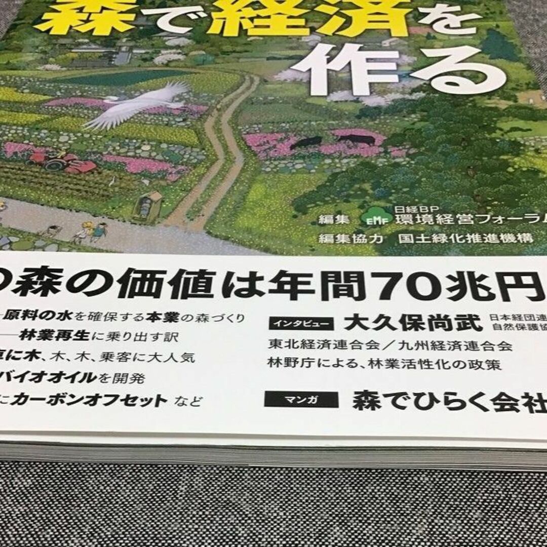 グリーンエコノミー 　時代を拓く 森で経済を作る　日経BP環境経営フォーラム エンタメ/ホビーの本(ビジネス/経済)の商品写真