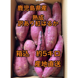 鹿児島県産　熟成訳あり紅はるか　箱込5キロ(野菜)