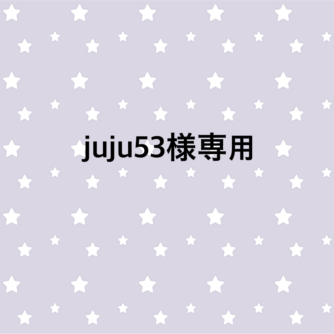 juju53様専用 キッズ/ベビー/マタニティのおもちゃ(ぬいぐるみ/人形)の商品写真