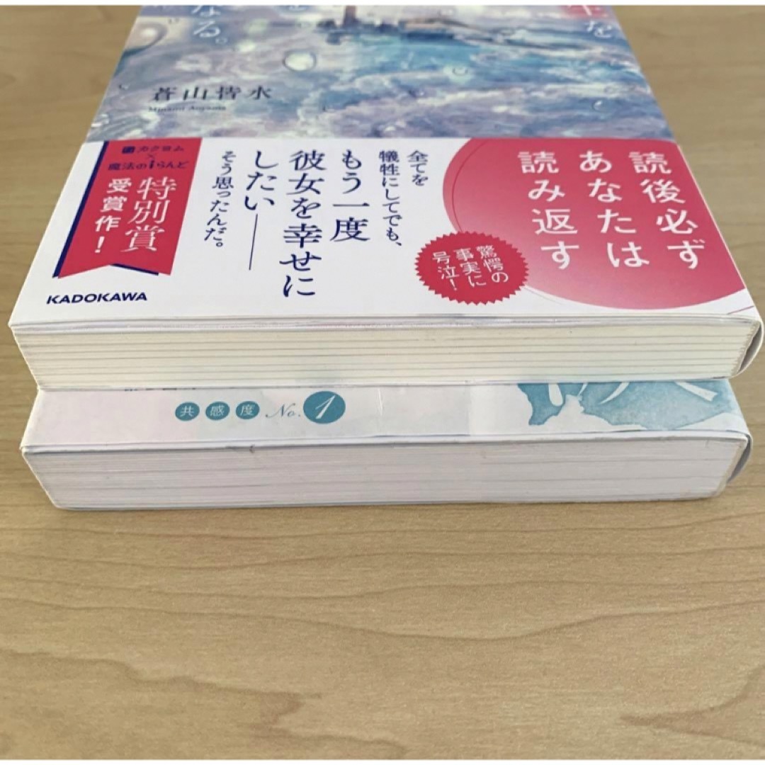 もう一度人生をやり直したとしてもまた君を好きになる。君への最後の恋文〜2冊セット エンタメ/ホビーの本(文学/小説)の商品写真