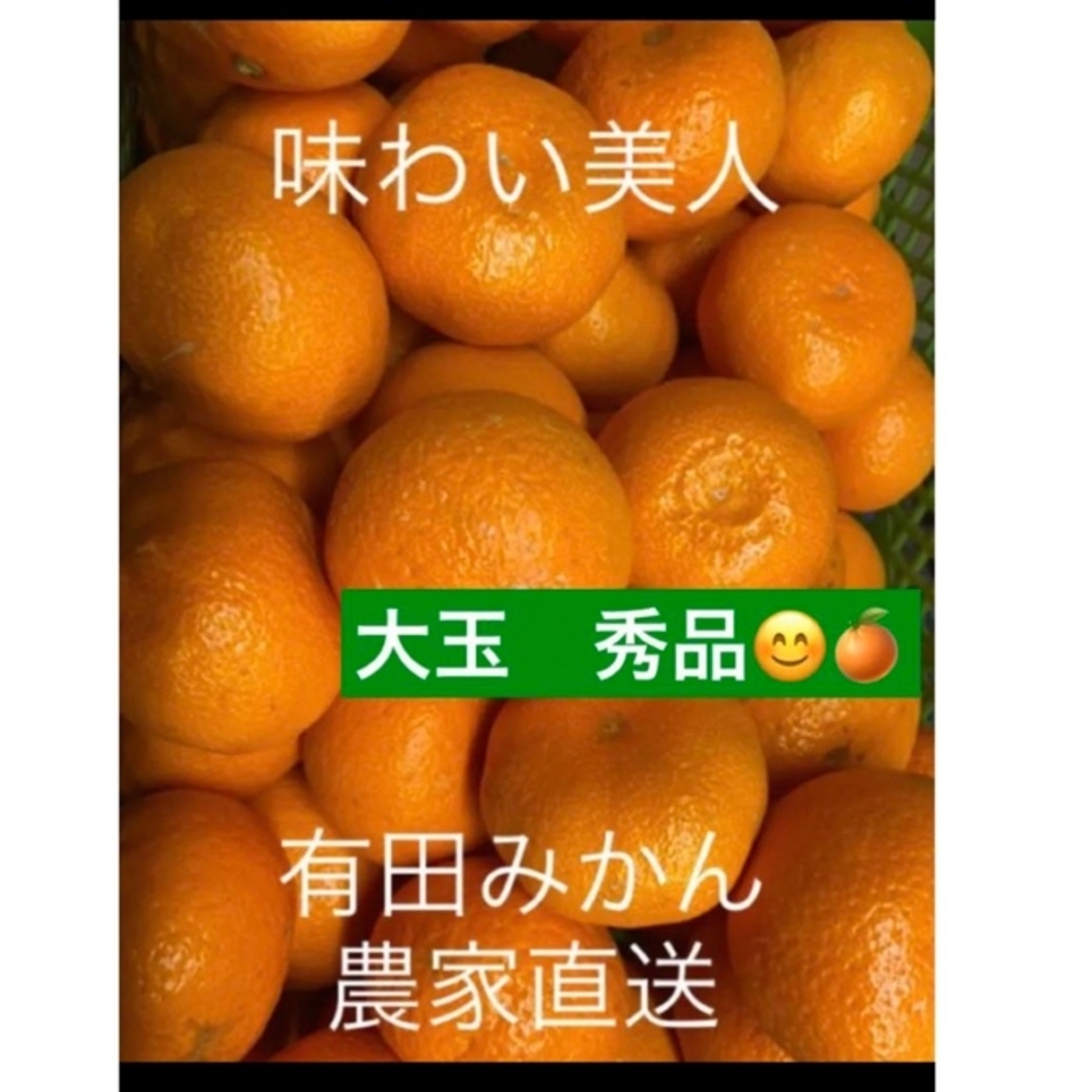 有田みかん農家直送☆味わい美人　大玉秀品箱込み5キロ 食品/飲料/酒の食品(フルーツ)の商品写真