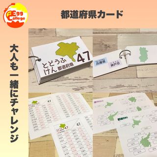 社会　都道府県　県庁所在地カード　小学生　中学生　知育教材　定期テスト(知育玩具)