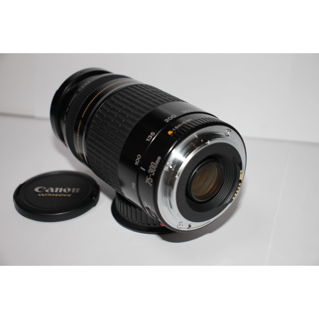 オススメ☆極上品☆迫力の300mm キヤノン　Canon EF75-300㎜