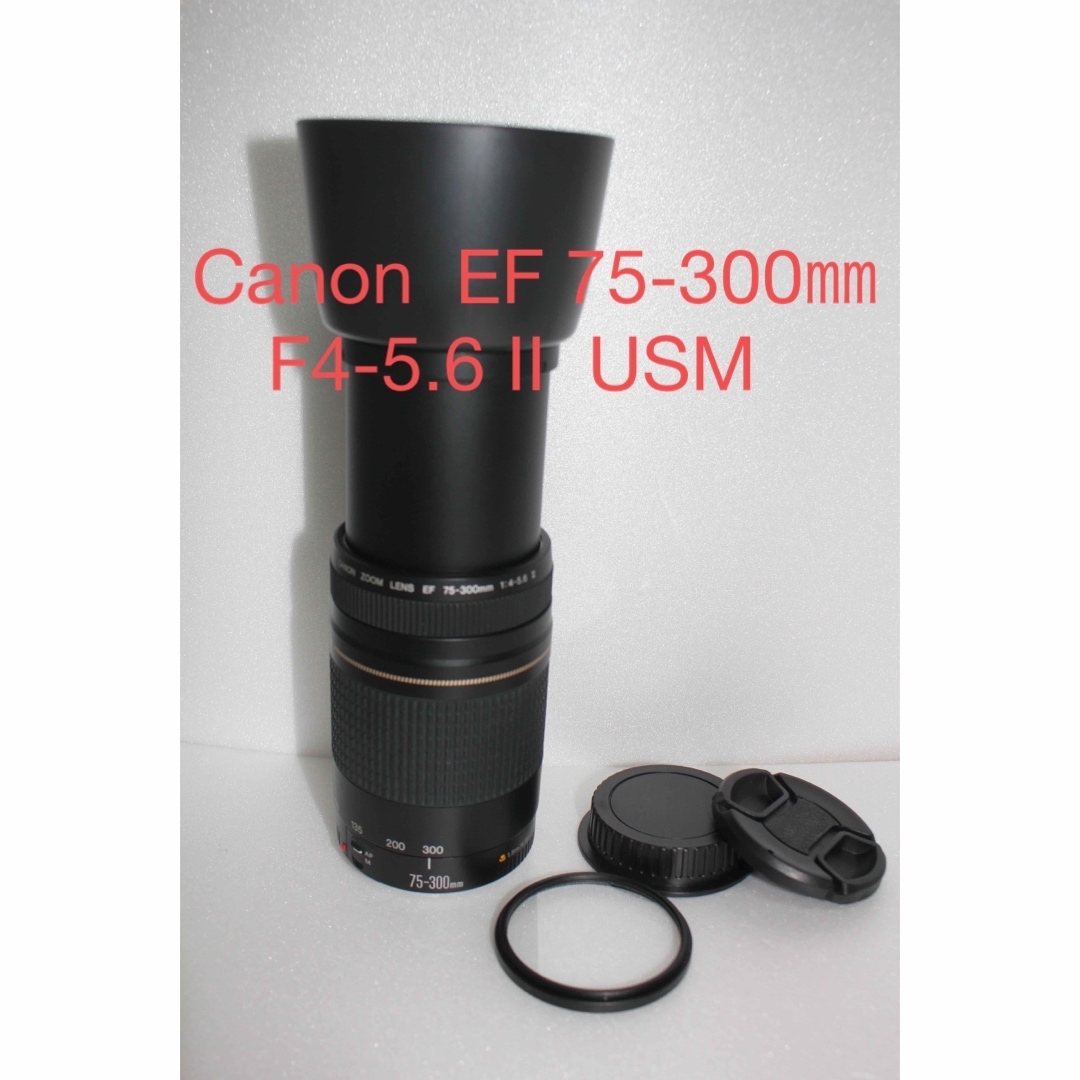 Canon - フード付き☆人気の望遠レンズ☆キヤノン Canon EF75-300㎜の+